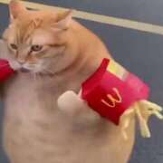 ヒメ日記 2025/12/08 09:01 投稿 ななお 花夫人