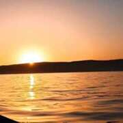 ヒメ日記 2026/01/07 09:09 投稿 ななお 花夫人