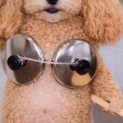 ヒメ日記 2026/02/06 09:04 投稿 ななお 花夫人