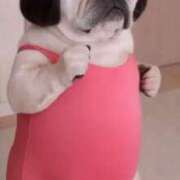 ななお 真夜中のクリは止まらない 花夫人