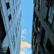 ヒメ日記 2026/03/08 09:18 投稿 ななお 花夫人