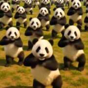 ヒメ日記 2026/03/19 09:06 投稿 ななお 花夫人