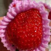 ヒメ日記 2026/03/23 09:53 投稿 ななお 花夫人