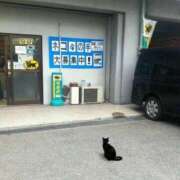 ヒメ日記 2026/04/01 09:20 投稿 ななお 花夫人