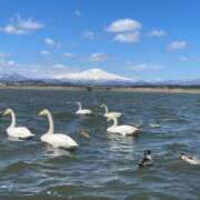 ヒメ日記 2026/04/10 09:05 投稿 ななお 花夫人