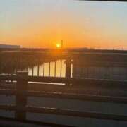 ヒメ日記 2026/04/13 12:09 投稿 ななお 花夫人