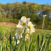 ヒメ日記 2026/05/16 08:46 投稿 ななお 花夫人