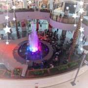 ヒメ日記 2024/12/15 21:22 投稿 ゆめ 花夫人