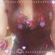 ヒメ日記 2025/03/18 09:10 投稿 ゆめ 花夫人