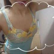 ヒメ日記 2025/03/25 09:23 投稿 ゆめ 花夫人