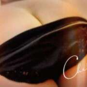 ヒメ日記 2025/04/22 08:57 投稿 ゆめ 花夫人