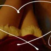 ヒメ日記 2025/11/27 08:55 投稿 ゆめ 花夫人