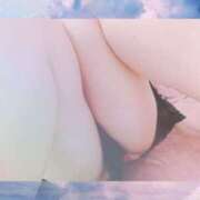 ヒメ日記 2025/12/13 09:17 投稿 ゆめ 花夫人