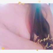 ヒメ日記 2026/03/16 09:28 投稿 ゆめ 花夫人