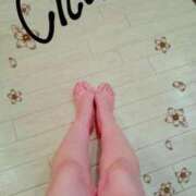 ヒメ日記 2026/03/23 08:52 投稿 ゆめ 花夫人