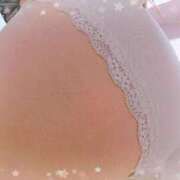 ヒメ日記 2026/04/12 08:57 投稿 ゆめ 花夫人