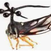 ヒメ日記 2025/02/08 21:45 投稿 エレナ 花夫人