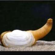 ヒメ日記 2025/02/21 21:45 投稿 エレナ 花夫人