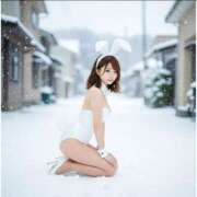 ヒメ日記 2025/03/14 21:45 投稿 エレナ 花夫人