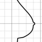 ヒメ日記 2025/12/13 21:45 投稿 エレナ 花夫人