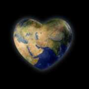 ヒメ日記 2025/12/20 21:45 投稿 エレナ 花夫人