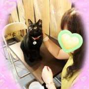 大久保朋子 出勤情報 五十路マダム愛されたい熟女たち 倉敷店（カサブランカグループ）