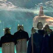 ヒメ日記 2025/01/25 08:28 投稿 水田まり 五十路マダム愛されたい熟女たち 倉敷店（カサブランカグループ）