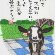 ヒメ日記 2025/03/20 06:46 投稿 水田まり 五十路マダム愛されたい熟女たち 倉敷店（カサブランカグループ）