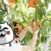 ヒメ日記 2025/08/09 07:16 投稿 水田まり 五十路マダム愛されたい熟女たち 倉敷店（カサブランカグループ）