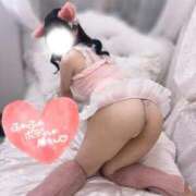 ヒメ日記 2026/02/05 06:19 投稿 あき ハイブリッドヘルス小岩中央