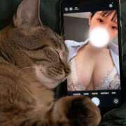 ヒメ日記 2026/04/25 22:19 投稿 あき ハイブリッドヘルス小岩中央