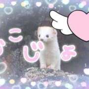 ヒメ日記 2025/04/12 03:33 投稿 百合香(ゆりか) 相模原人妻城