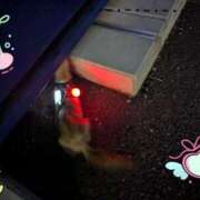 ヒメ日記 2025/11/20 12:27 投稿 百合香(ゆりか) 相模原人妻城