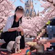 ヒメ日記 2026/03/30 08:03 投稿 百合香(ゆりか) 相模原人妻城