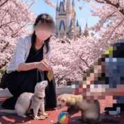 百合香(ゆりか) [お題]from:らんらんさん 相模原人妻城