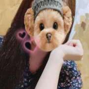 ヒメ日記 2025/04/09 00:48 投稿 小野寺(おのでら) 相模原人妻城