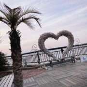 ヒメ日記 2026/03/04 02:18 投稿 小野寺(おのでら) 相模原人妻城