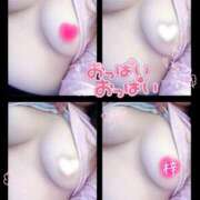 ヒメ日記 2024/12/09 19:48 投稿 梓(あずさ) 相模原人妻城