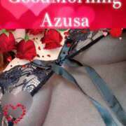 ヒメ日記 2024/12/11 09:12 投稿 梓(あずさ) 相模原人妻城