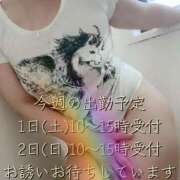 ヒメ日記 2025/02/23 09:18 投稿 梓(あずさ) 相模原人妻城