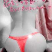 ヒメ日記 2025/03/21 08:48 投稿 梓(あずさ) 相模原人妻城