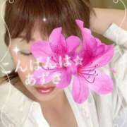 ヒメ日記 2025/03/27 19:48 投稿 梓(あずさ) 相模原人妻城