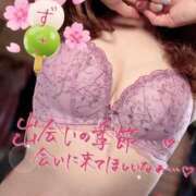 ヒメ日記 2025/04/04 09:18 投稿 梓(あずさ) 相模原人妻城