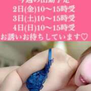 ヒメ日記 2025/04/28 08:57 投稿 梓(あずさ) 相模原人妻城