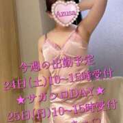 ヒメ日記 2025/05/19 08:57 投稿 梓(あずさ) 相模原人妻城