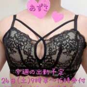 梓(あずさ) 🍓今週の出勤予定🍓 相模原人妻城