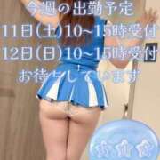 ヒメ日記 2026/04/06 09:18 投稿 梓(あずさ) 相模原人妻城