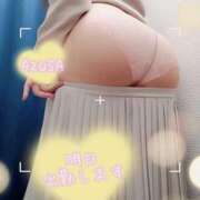 ヒメ日記 2026/10/09 09:15 投稿 梓(あずさ) 相模原人妻城