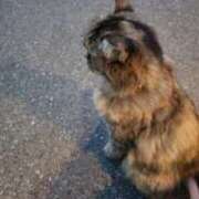 ヒメ日記 2025/11/14 09:58 投稿 すず 池袋西口でSUGEEE求められる俺のカラダ