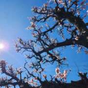 ヒメ日記 2026/03/08 19:14 投稿 すず 池袋西口でSUGEEE求められる俺のカラダ